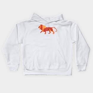 Leo Kids Hoodie